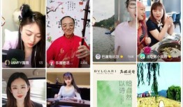 娛樂圈吃瓜冰雨直播視頻,一場(chǎng)吃瓜盛宴